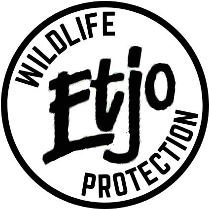 Etjo Wildlife Protection